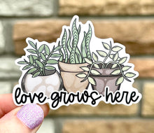 Load image into Gallery viewer, Plants Love Grows Here MATTE Vinyl Sticker
